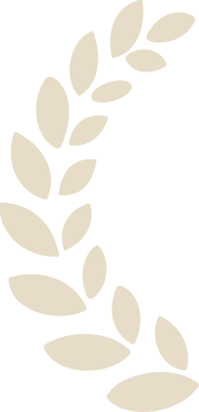 Image link