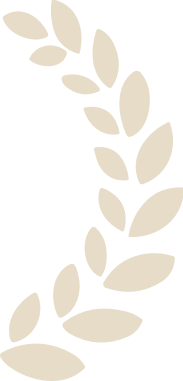 Image link